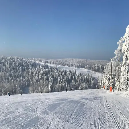 B 601 Apartmán Tahkovuori