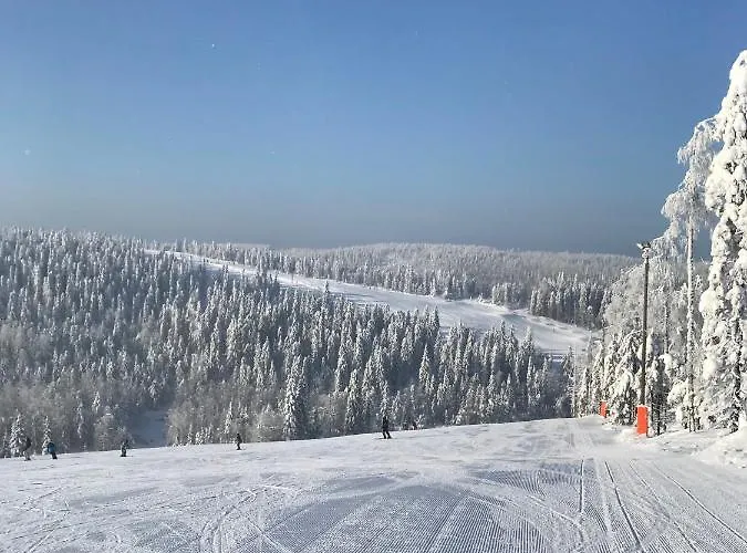 B 601 Huoneisto Tahkovuori